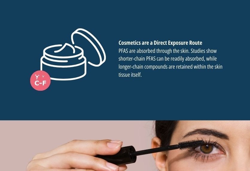 Cosmetics are applied close to sensitive tissues (like eyes and skin) and can be absorbed or ingested in trace amounts. While one use won’t make someone sick, the concern is long-term, low-level exposure layered on top of other daily PFAS exposures.