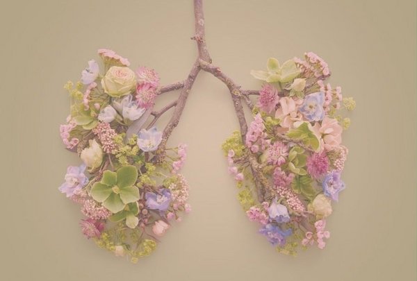 An artistic representation of lungs made from flowers and branches. V-ITEX technology aids in the sensitive detection of volatile organic compounds in exhaled breath for health monitoring.