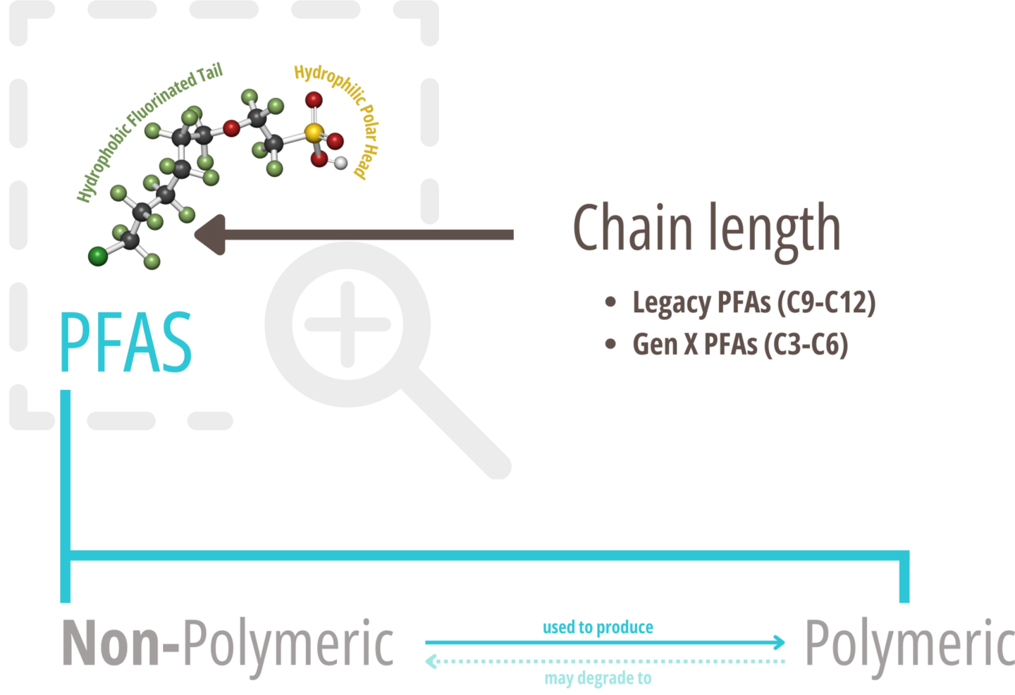 The scheme depicts the characteristics of PFAS as well as its categorization and nomenclature.