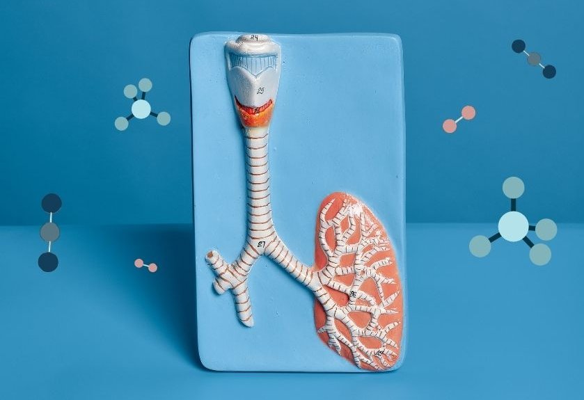 The Breath Matrix: A Complex Messenger Service