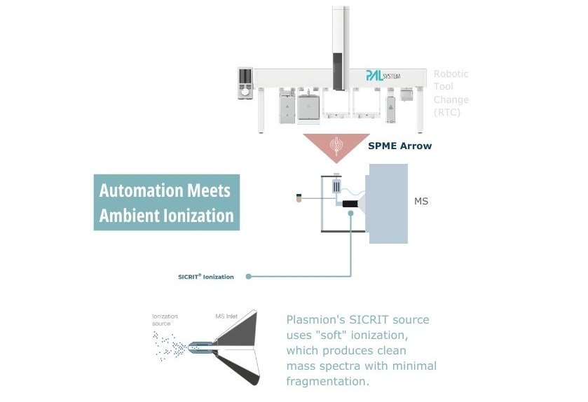  Diagram showing the automated workflow where a PAL RTC System with an SPME Arrow desorbs analytes directly into a Plasmion SICRIT ion source for mass spectrometry analysis.