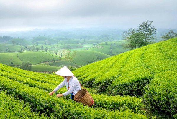 Selective Ultra Trace Headspace Analysis Workflow Solution