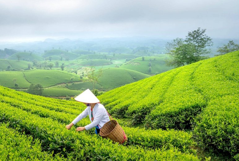 Selective Ultra Trace Headspace Analysis Workflow Solution