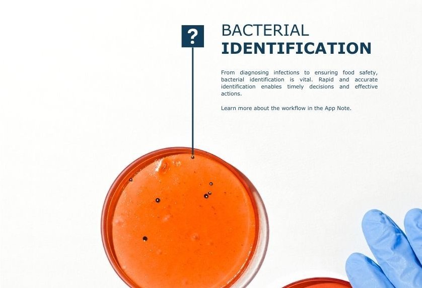 A blood agar plate with bacteria on it. Also depicted is a question mark, suggesting that we are not aware of what type of bacteria we are looking at.