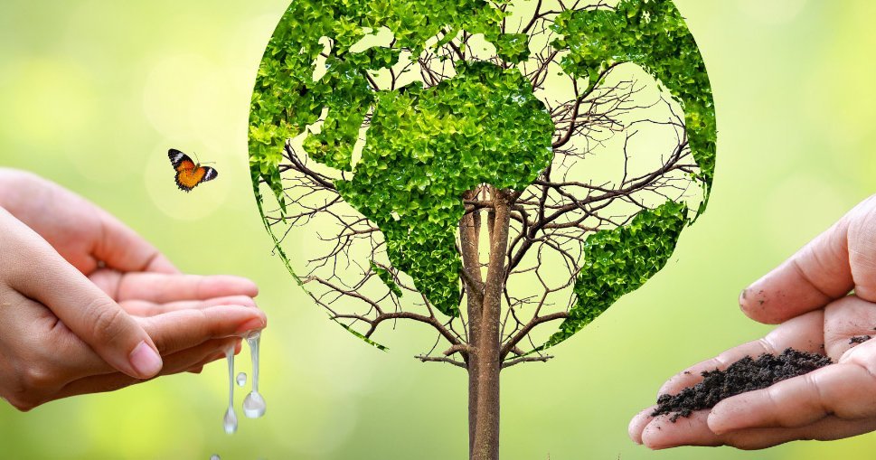 Environmental Analysis - Protection of environment is key
