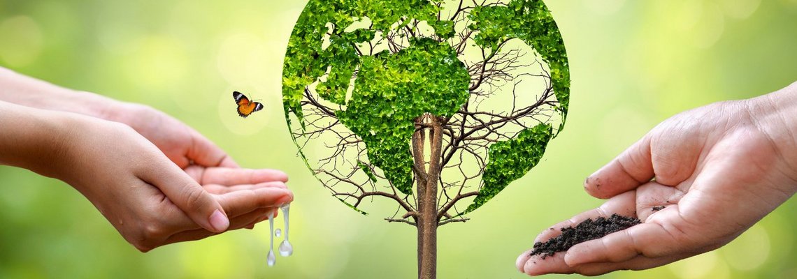 environmental analysis