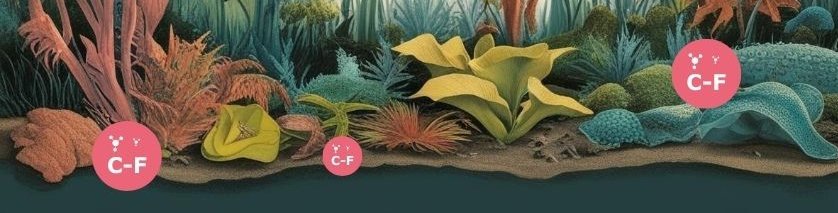 PFAS, depicted as C-F clusters, are seen in this cross section of the forest floor. There are many different plants reminiscent of a depiction in an older biology book. They all contain or relate to the C-F clusters of PFAS implying their persistence over time. 