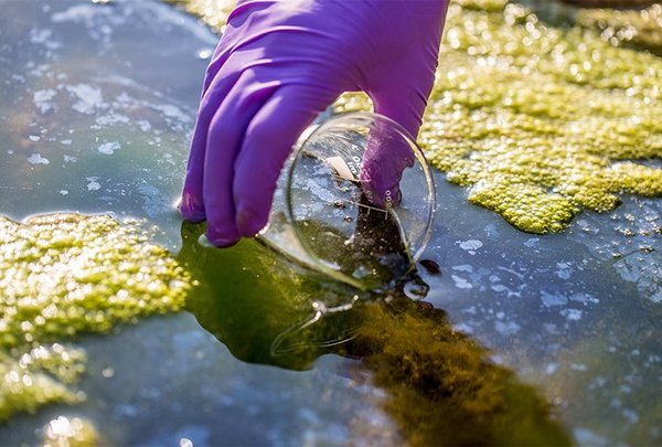 H53 Workflow Solution