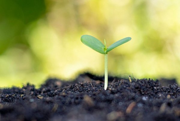 Bilder für Webseite (1440 x 590 px) (1109 x 676 px) - 1 VOCs in Soil