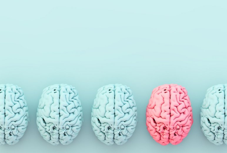 Several lined up brains representative of the various fields of life science and biology.