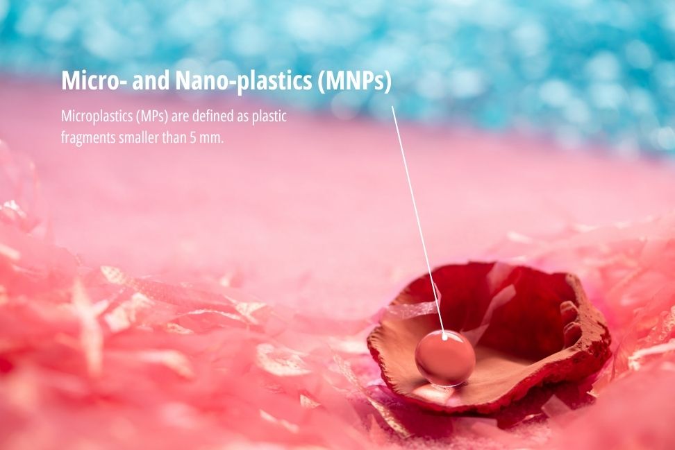These plastic fragments (smaller than 5 mm for micro and 1-1000 nm for nano) originate from primary sources like the cosmetic and fishing industries, or secondary fragmentation via UV radiation and mechanical abrasion