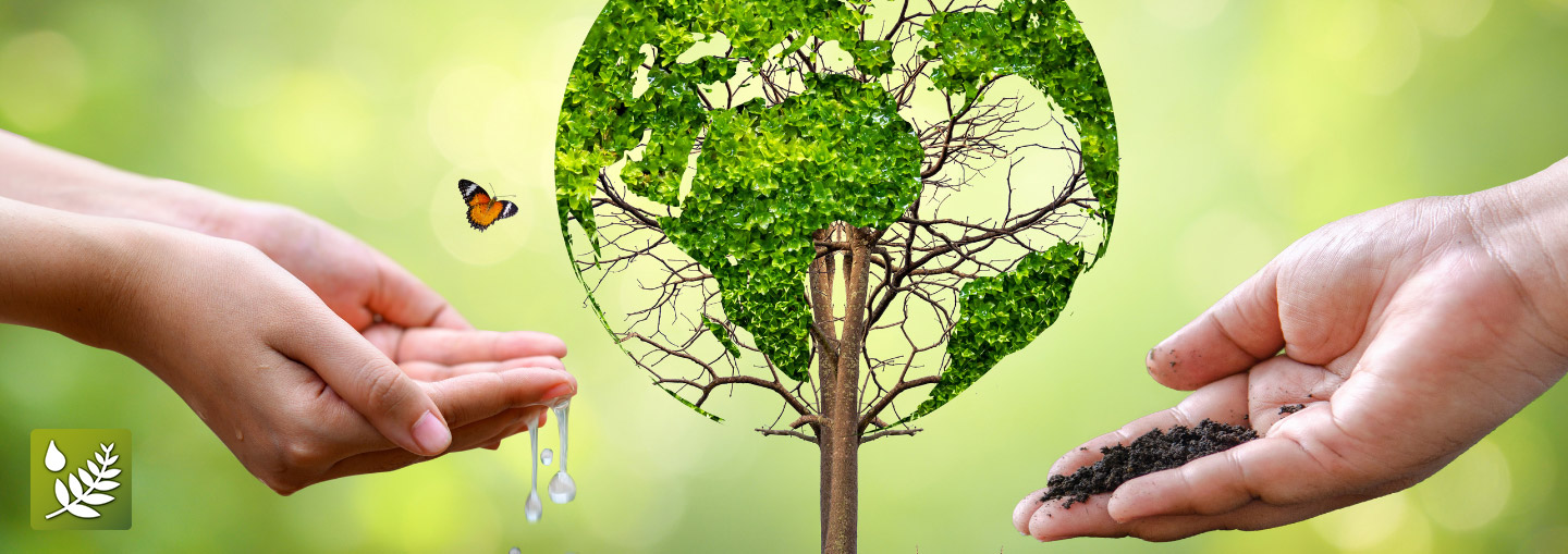 Environmental Market