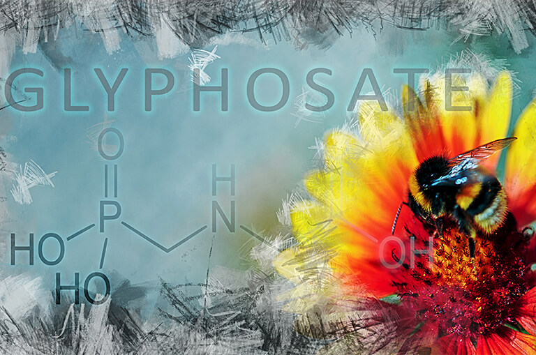 Determination of Glyphosate in Food Glyphosate Workflow Solution