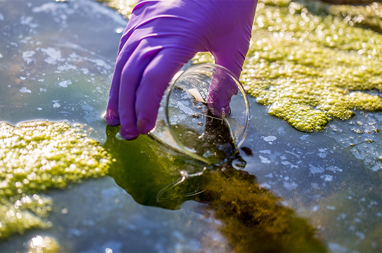 Analysis of Hydrocarbon Contamination in Water H53 Workflow Solution